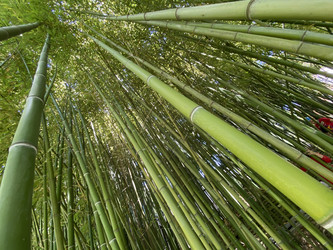 Similar image 21677745