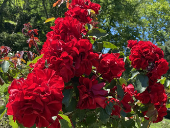 Similar image 21677748