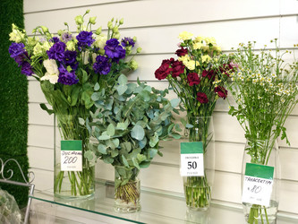 Similar image 21677751