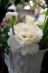 Similar image 21677754