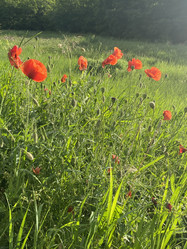 Similar image 21674069