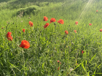 Similar image 21674071