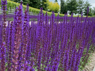 Similar image 21674073