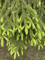 Similar image 21674074