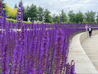 Similar image 21674075