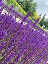 Similar image 21674077