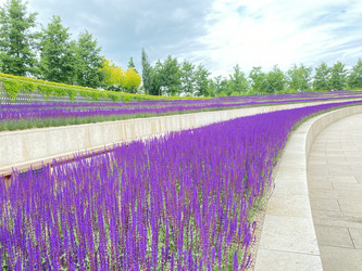 Similar image 21674079