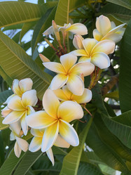 Similar image 21674243