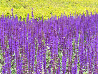 Similar image 21677123