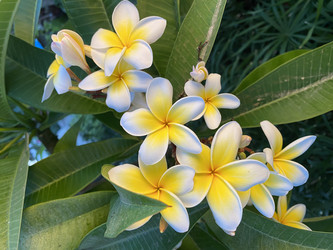 Similar image 21677124