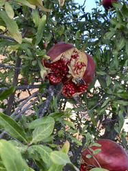 Similar image 21677244