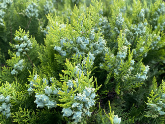 Similar image 21677245