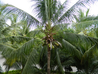 Similar image 21677246