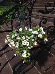 Similar image 21681822