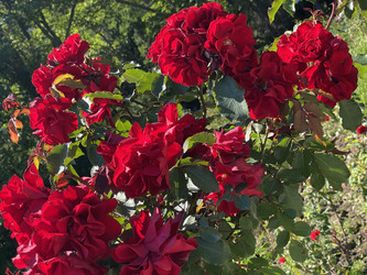 Similar image 21681823