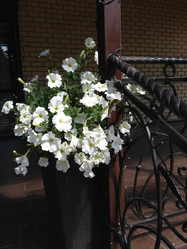 Similar image 21682120