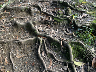 Similar image 21683153