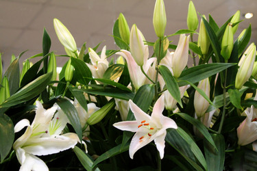 Similar image 21677755