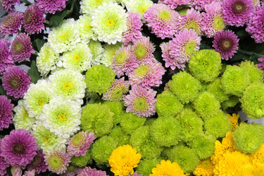 Similar image 21677756