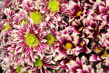 Similar image 21677757