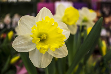 Similar image 21663426