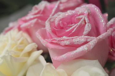 Similar image 21663427