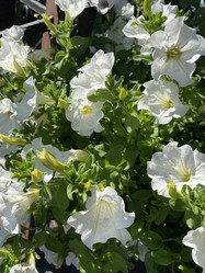 Similar image 21668190