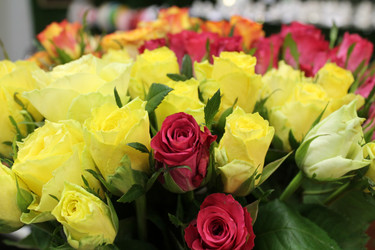 Similar image 21673968