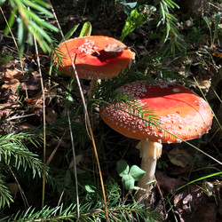 Similar image 21673969