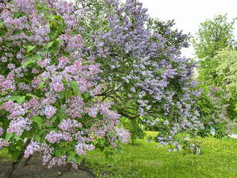 Similar image 21674080