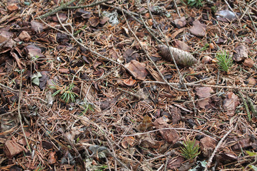 Similar image 21674081