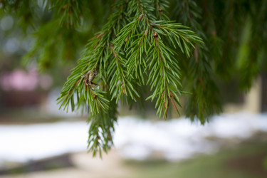 Similar image 21674083