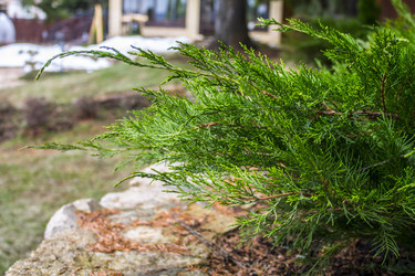 Similar image 21674085