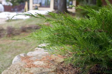 Similar image 21674089