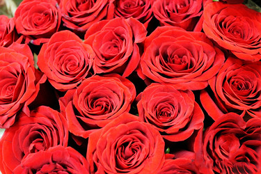 Similar image 21674090