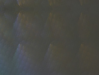 Similar image 21665782