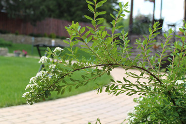 Similar image 21673978