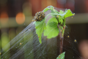 Similar image 21673979