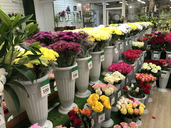 Similar image 21674092