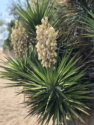 Similar image 21674093