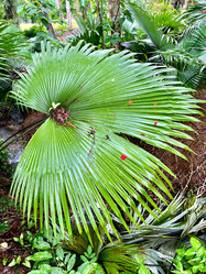 Similar image 21674095