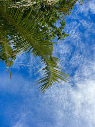 Similar image 21674097