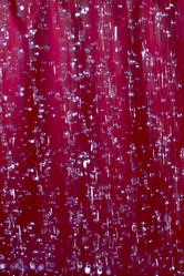 Similar image 21677127