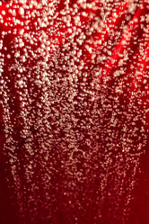 Similar image 21677723