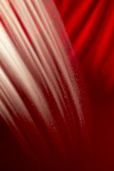 Similar image 21681824