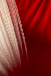 Similar image 21682121