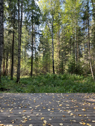 Similar image 21677252