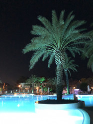 Similar image 21681825