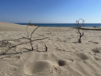 Similar image 21684776