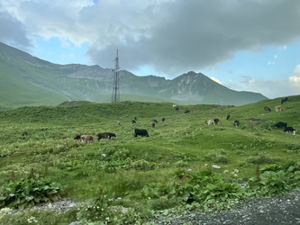 Similar image 21677725